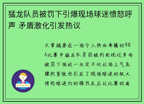 猛龙队员被罚下引爆现场球迷愤怒呼声 矛盾激化引发热议